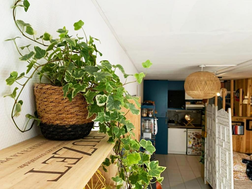 Studio Avec Terrasse Tout Pres Du Vieux Port ラ・ロシェル エクステリア 写真